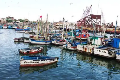 Foto: Pesca ANDINA/Difusión.