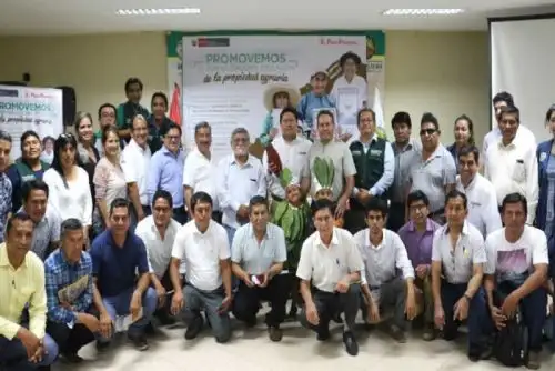 Ayacucho, Cusco, Huancavelica, Huánuco, Junín, Loreto, Pasco, Puno, San Martín y Ucayali fueron las 10 regiones presentes.
