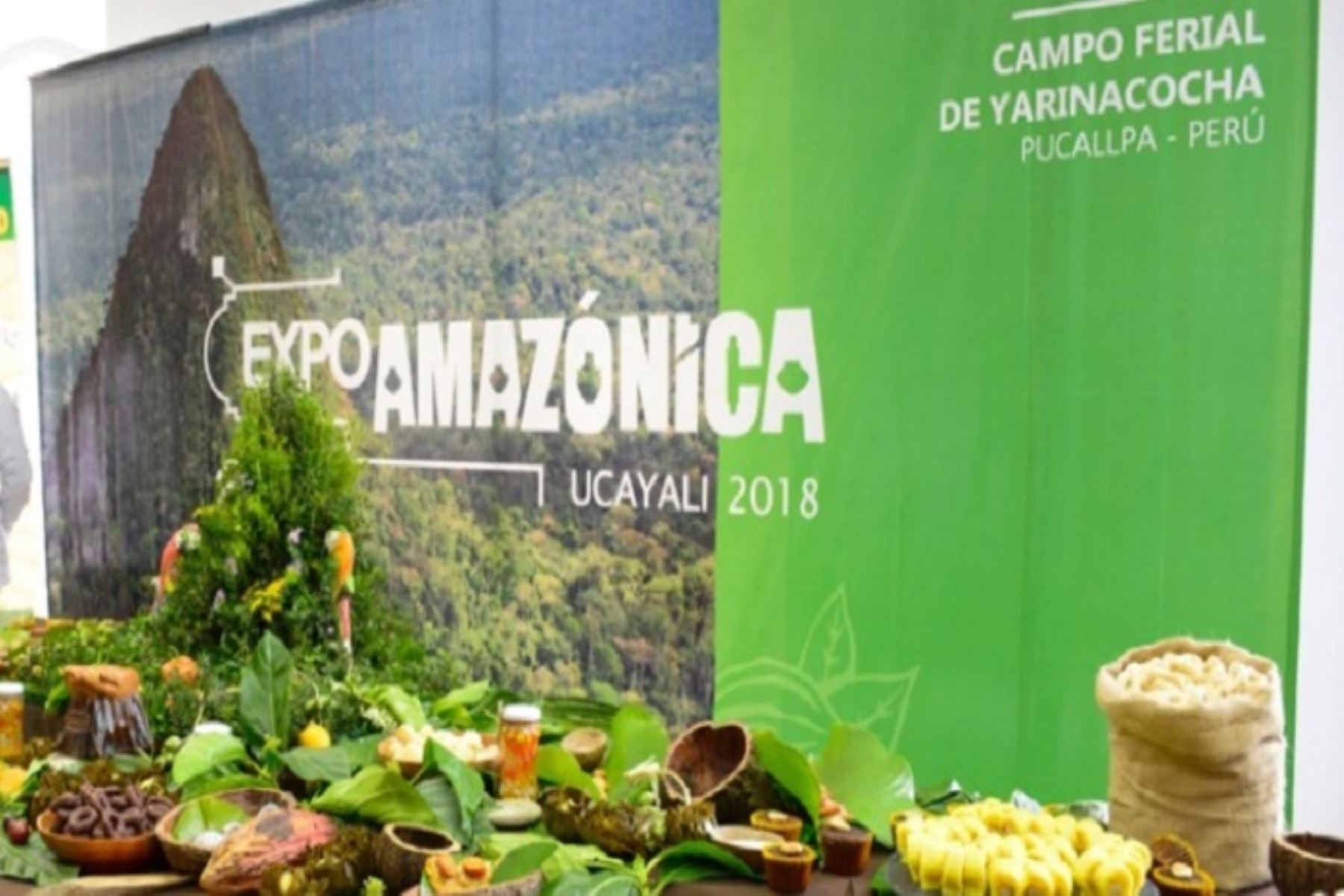 Expo Amazónica 2018, e efectuará del 9 al 12 de agosto en la ciudad de Pucallpa, región Ucayali. ANDINA/Difusión