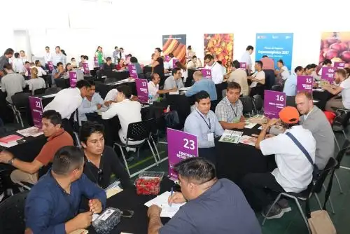 Rueda de negocios en la Feria Expo Amazónica.
