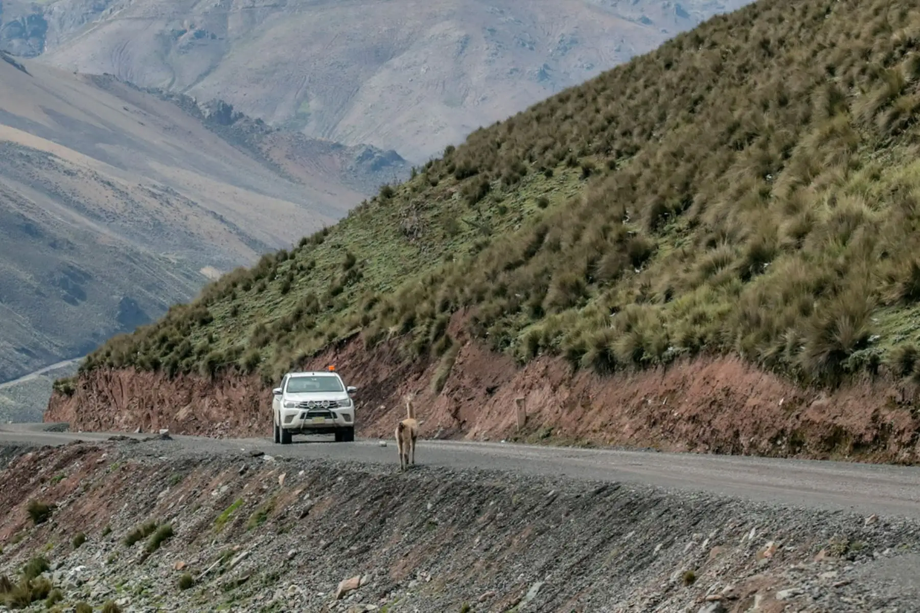 MTC invertirá S/ 393 millones para continuar trabajos en la carretera Lima-Canta-Huayllay. ANDINA/Difusión