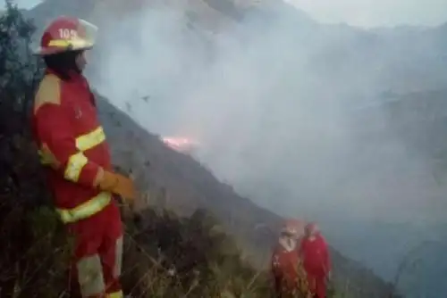 Bomberos de los distritos de Urcos, San Jerónimo y San Sebastián de la región Cusco, extinguieron en su totalidad el incendio forestal que se produjo ayer en el Parque Arqueológico de Pikillaqta, perteneciente al sector Pampa Raqchi-Rayallacta, anexo del distrito de Andahuaylillas, provincia de Quispicanchi, en la región Cusco.