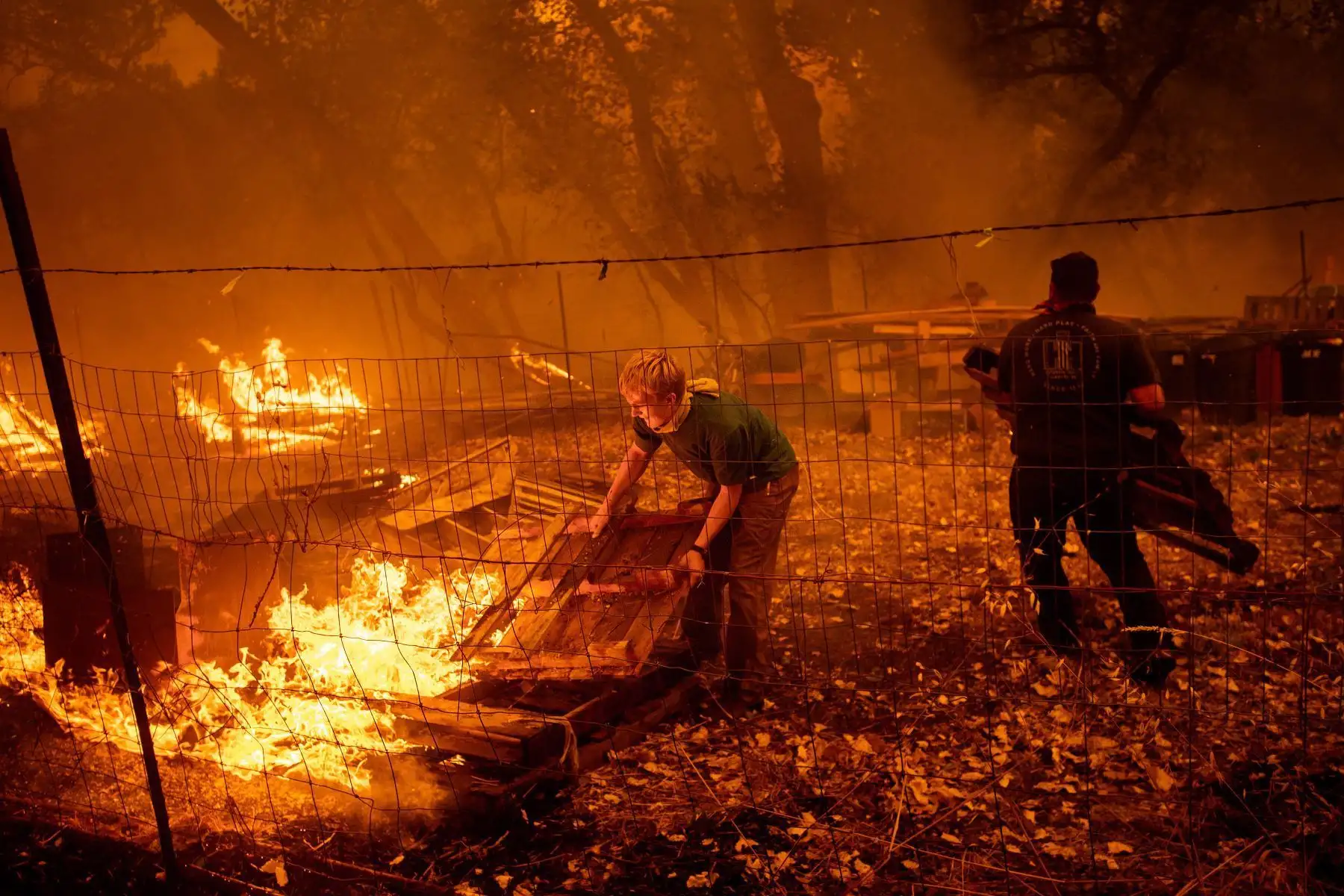 Quince años de edad, Alex Schenck mueve paletas en llamas mientras lucha para salvar su casa cuando el Rancho Fuego derriba New Long Valley Rd cerca de Clearlake Oaks, California.Foto: AFP