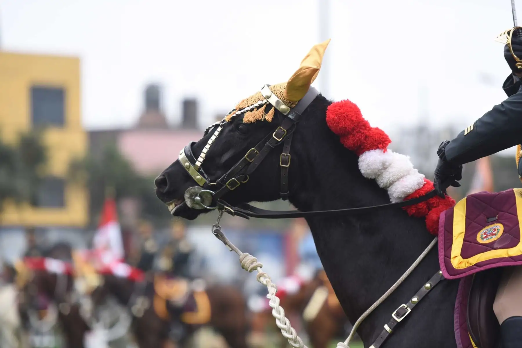 Con motivo del Día de la Caballería Peruana y 194° aniversario de la Batalla de Junín que se conmemora el 6 de agosto, la Unidad Histórica de Policía Montada S2 PNP Manuel Gutiérrez Candia – El Potao realizó una presentación con acrobacias a caballo para el público presente. Foto: ANDINA/Mininter
