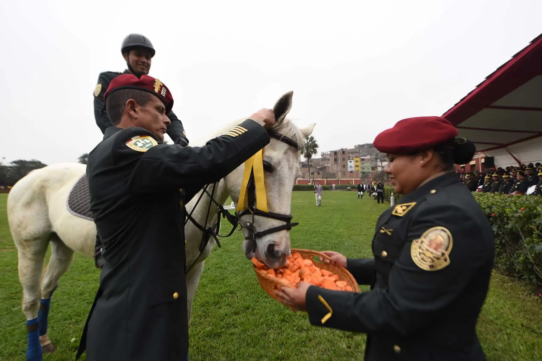Con motivo del Día de la Caballería Peruana y 194° aniversario de la Batalla de Junín que se conmemora el 6 de agosto, la Unidad Histórica de Policía Montada S2 PNP Manuel Gutiérrez Candia – El Potao realizó una presentación con acrobacias a caballo para el público presente. Foto: ANDINA/Mininter