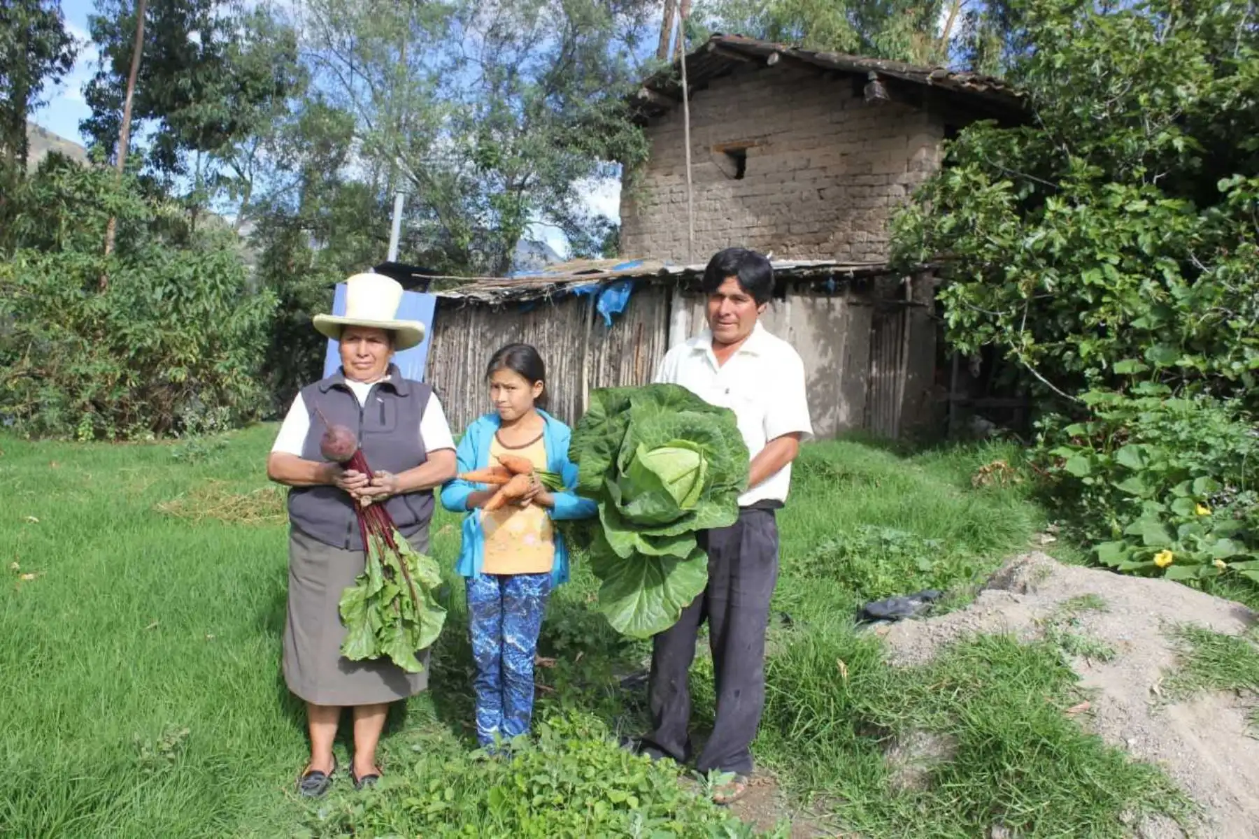 Un cambio en su economía experimentan 207,000 familias de las zonas rurales de la sierra y la selva, usuarias del proyecto Haku Wiñay/Noa Jayatai del Fondo de Cooperación para el Desarrollo Social (Foncodes), programa social del Ministerio de Desarrollo e Inclusión Social (Midis).