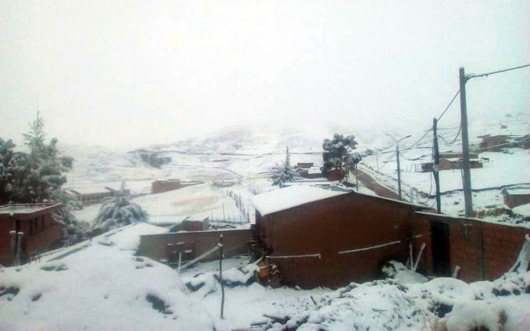 Hasta 50 centímetros de altura llegó la capa de nieve que cubrió las zonas altas de varias provincias de la región Cusco, el fenómeno se registra desde la víspera de acuerdo a la unificación de reportes de la Oficina de Gestión de Riesgos del Gobierno Regional del Cusco. Foto: ANDINA