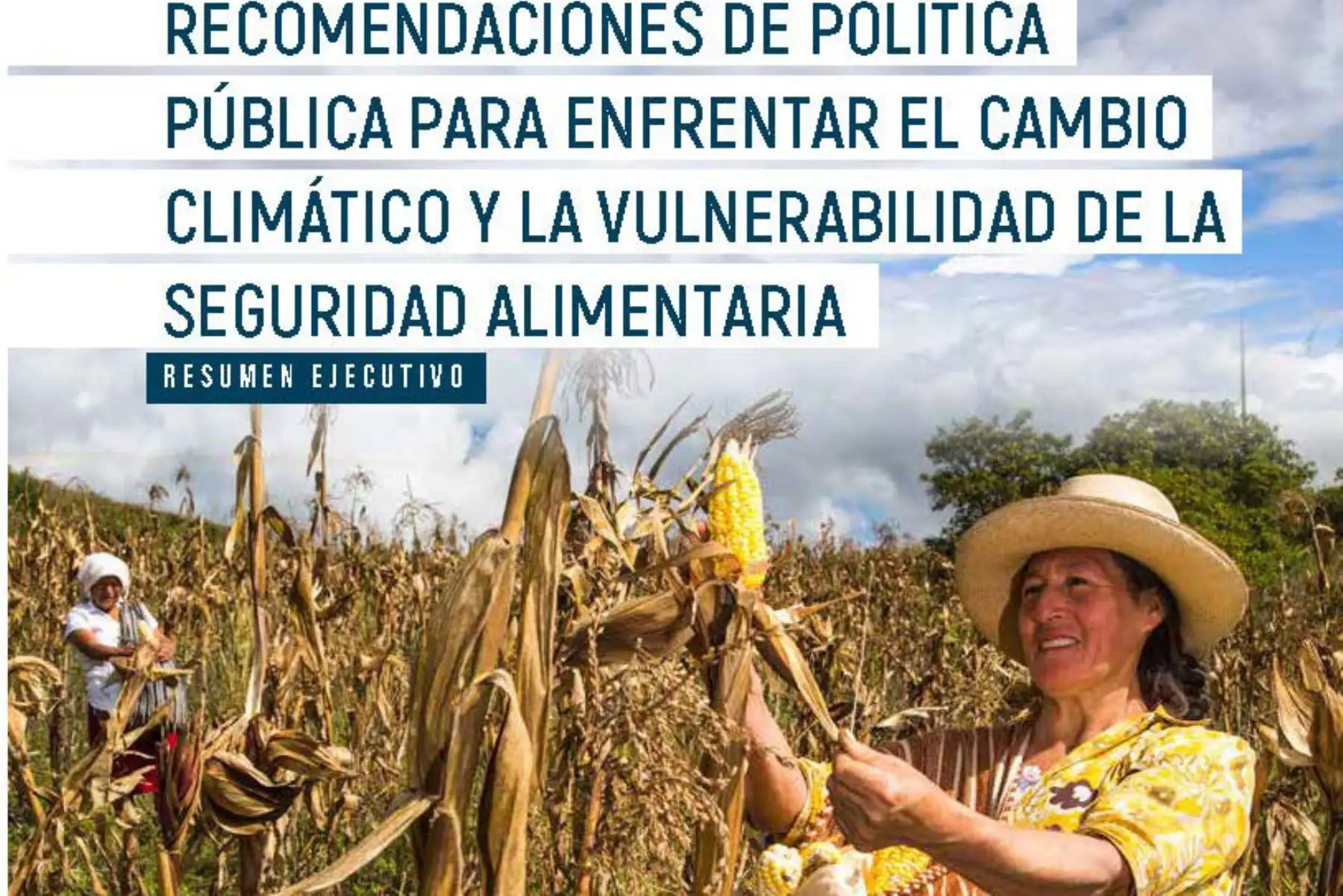 La región Ayacucho será la más afectada por el cambio climático en su agricultura, dado que al año 2050, disminuiría significativamente el rendimiento de haba, arveja y maíz amiláceo, revela un estudio realizado por la Organización de las Naciones Unidas para la Alimentación y la Agricultura (FAO).