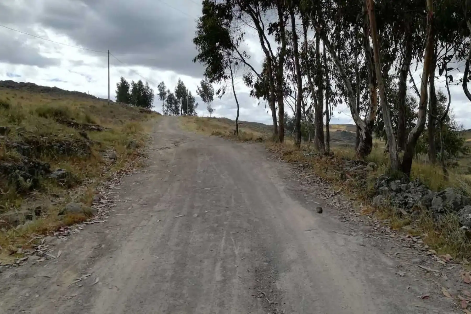 La Autoridad para la Reconstrucción con Cambios transfirió la suma de 9.8 millones de soles a cuatro gobiernos locales de Ayacucho y al Ministerio de Educación para varias obras de rehabilitación en esta región.