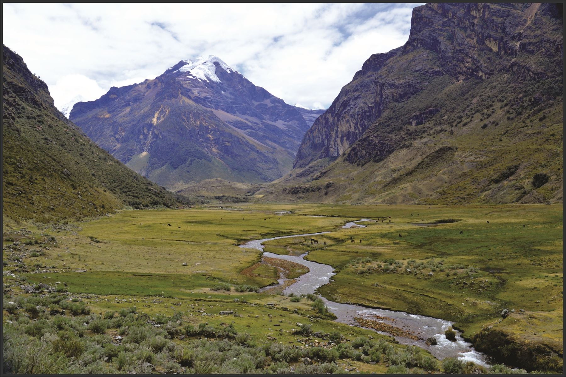 Científicos analizarán en Lima políticas públicas de ecosistemas de montaña y glaciares. ANDINA/Difusión