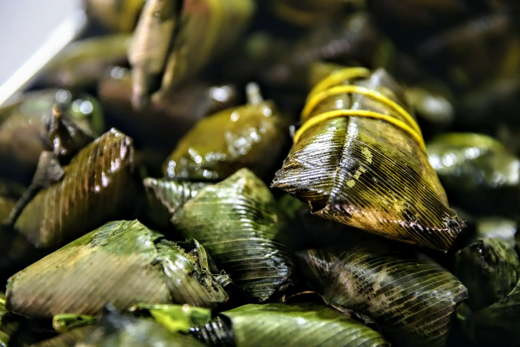Inauguración de la Expo Amazónica 2018 en la región de Ucayali. Foto: ANDINA/Luis Iparraguirre