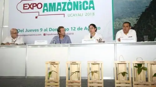 La ministra del Ambiente, Fabiola Muñoz, hizo hoy un llamado a la sociedad para trabajar en función del consenso y el respeto a los acuerdos para enfrentar el cambio climático en el Perú, pues cuando ello no ocurre se generan problemas. En ese sentido, dijo: “Uno de los consensos que tenemos es que nadie se salva del cambio climático, porque está afectando a todos”.