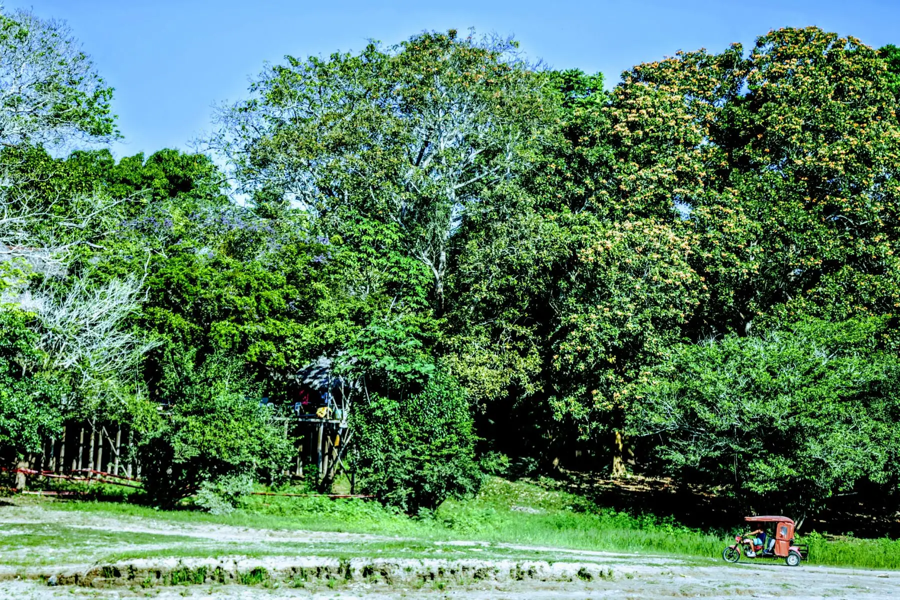 A 15 minutos de la ciudad de Pucallpa está la laguna de Yarinacocha que con sus 30 kilómetros de longitud espera ser navegada por los populares peque peques. Foto: ANDINA/Luis Iparraguirre