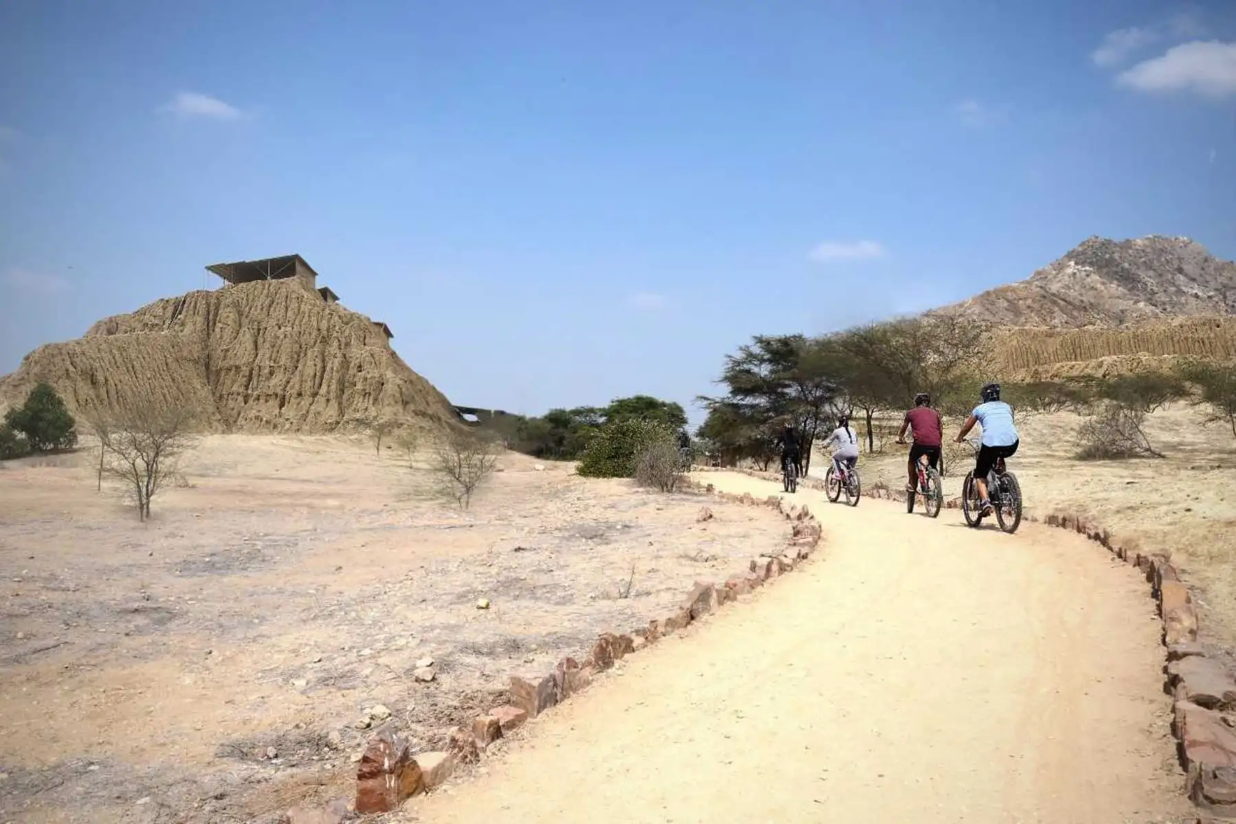 En el marco del 26° aniversario del Museo de Sitio de Túcume, desde hoy se pone en marcha el programa “Viaje al pasado en bicicleta”, como una alternativa para realizar visitas al complejo arqueológico y sus pirámides, así como el recinto que alberga los hallazgos de las investigaciones a este patrimonio cultural heredado de la civilización Lambayeque.