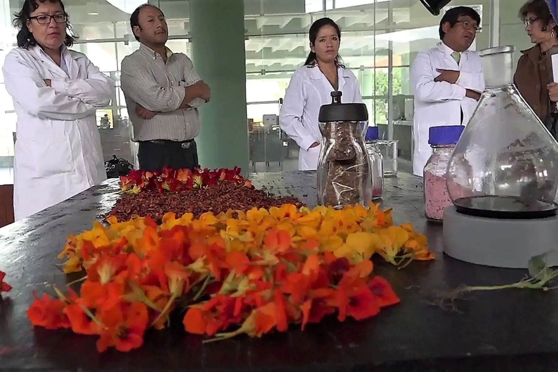 Catedrática huancaína, Clara Espinoza, descubre propiedades anticancerígenas en planta Mastuerzo.