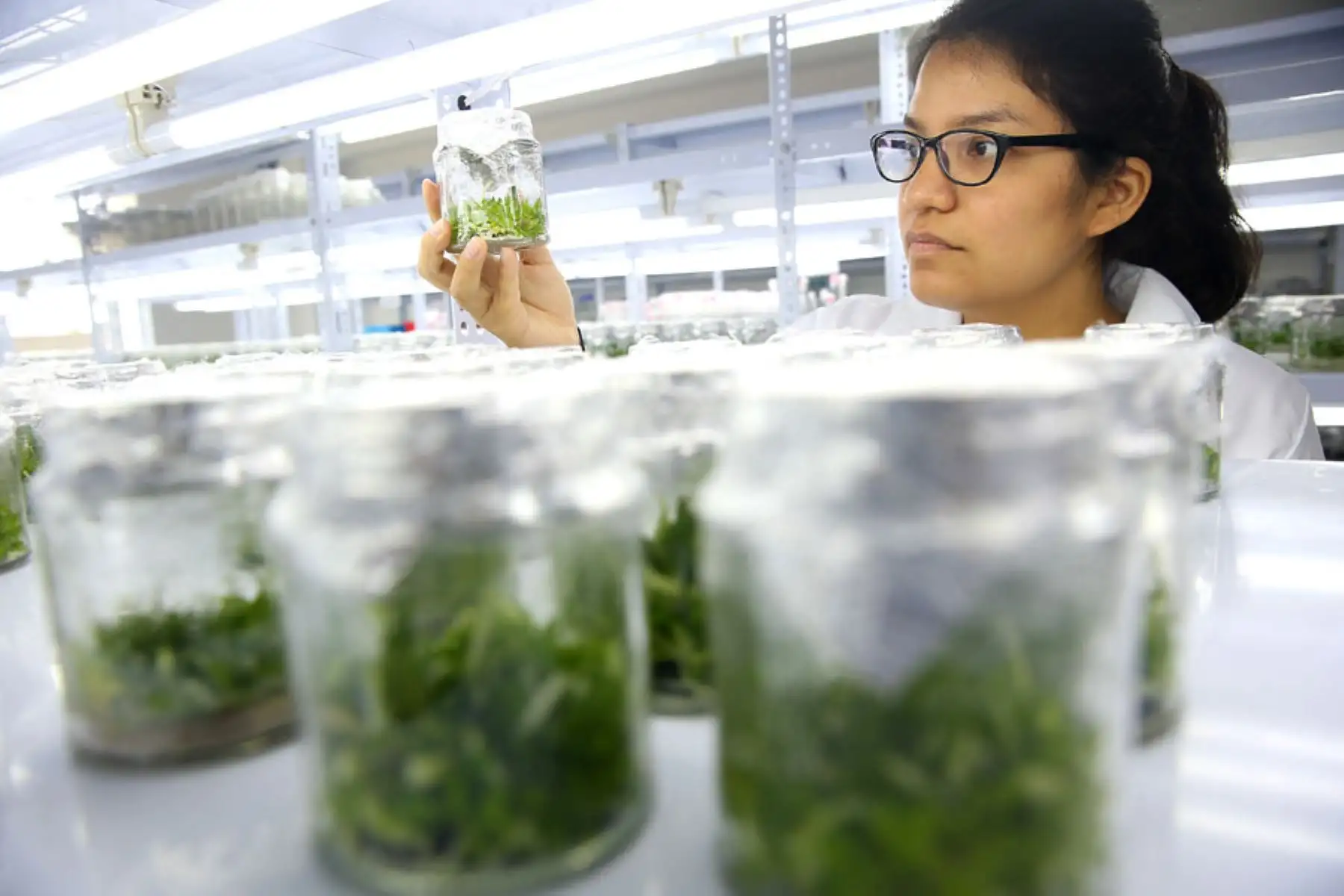 Arequipa lista para StartUp Perú 2019, la iniciativa estatal que premia la innovación. ANDINA