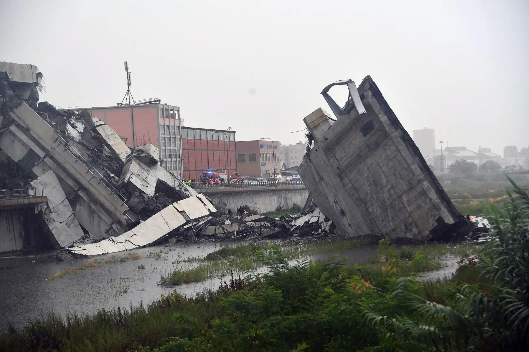 Varios ciudadanos observan los trabajos de los miembros de los servicios de emergencia tras derrumbarse una sección del viaducto Morandi en Génova (Italia) hoy, 14 de agosto de 2018. EFE
