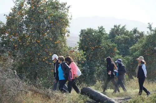 Palpa celebra fiestas patronales con nuevo circuito turístico: Ruta de la naranja. Foto: Cortesía Genry Emerson Bautista