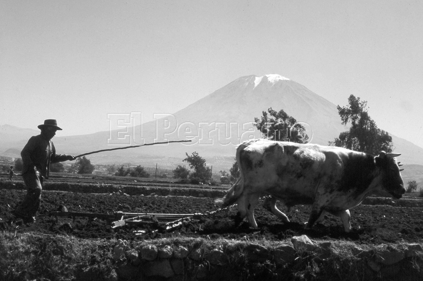 Agricultor al pie del Misti (1970). Foto: Archivo Histórico de EL PERUANO.
