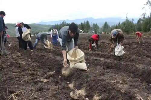 Pequeños agricultores podrán comprar guano de las islas a precio social. ANDINA/Difusión