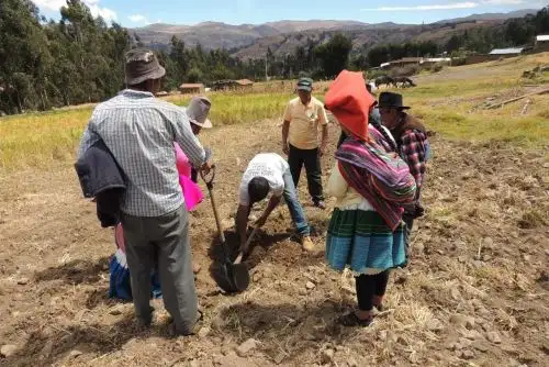 Sector agropecuario ANDINA/Difusión