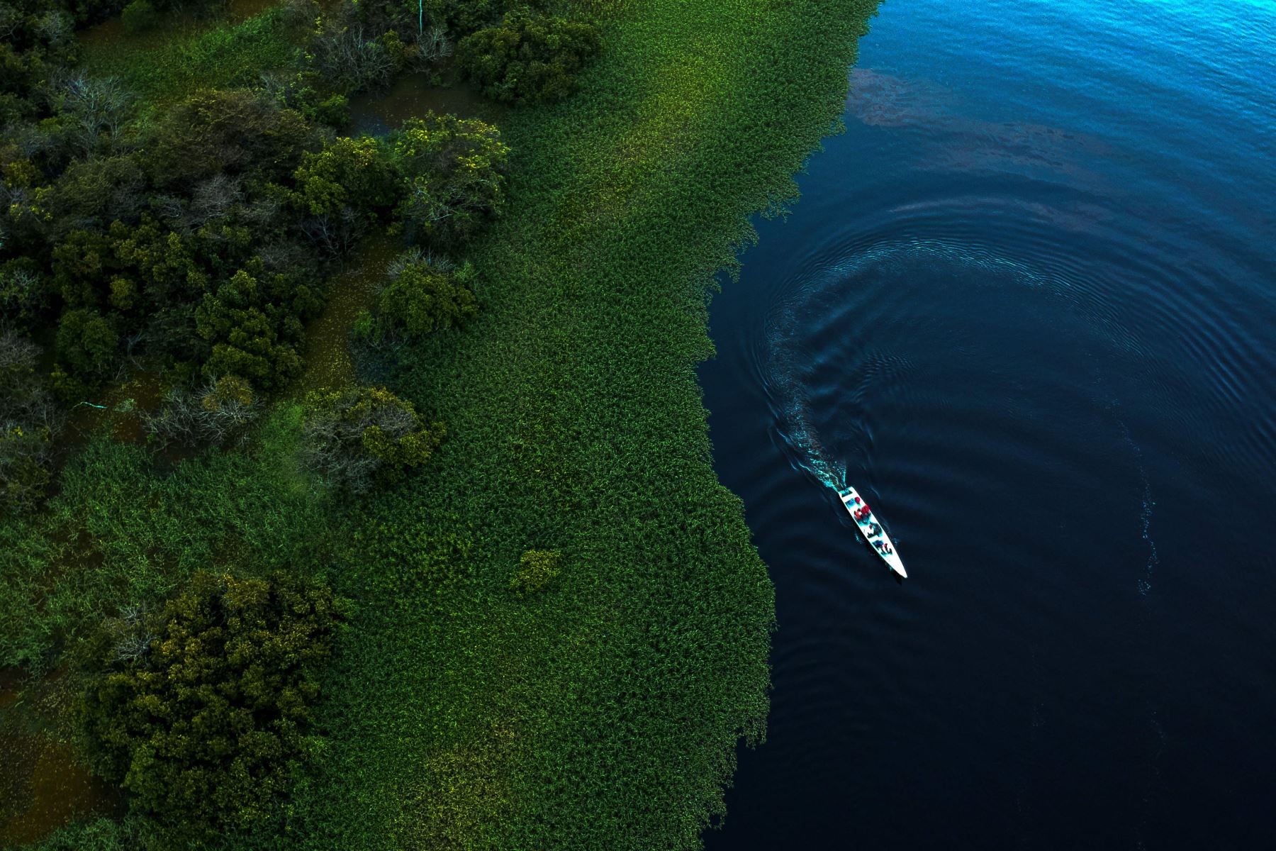 Vista de drones del lago Maciel en la Reserva de Desarrollo Sostenible Mamiraua en Brasil Foto: AFP