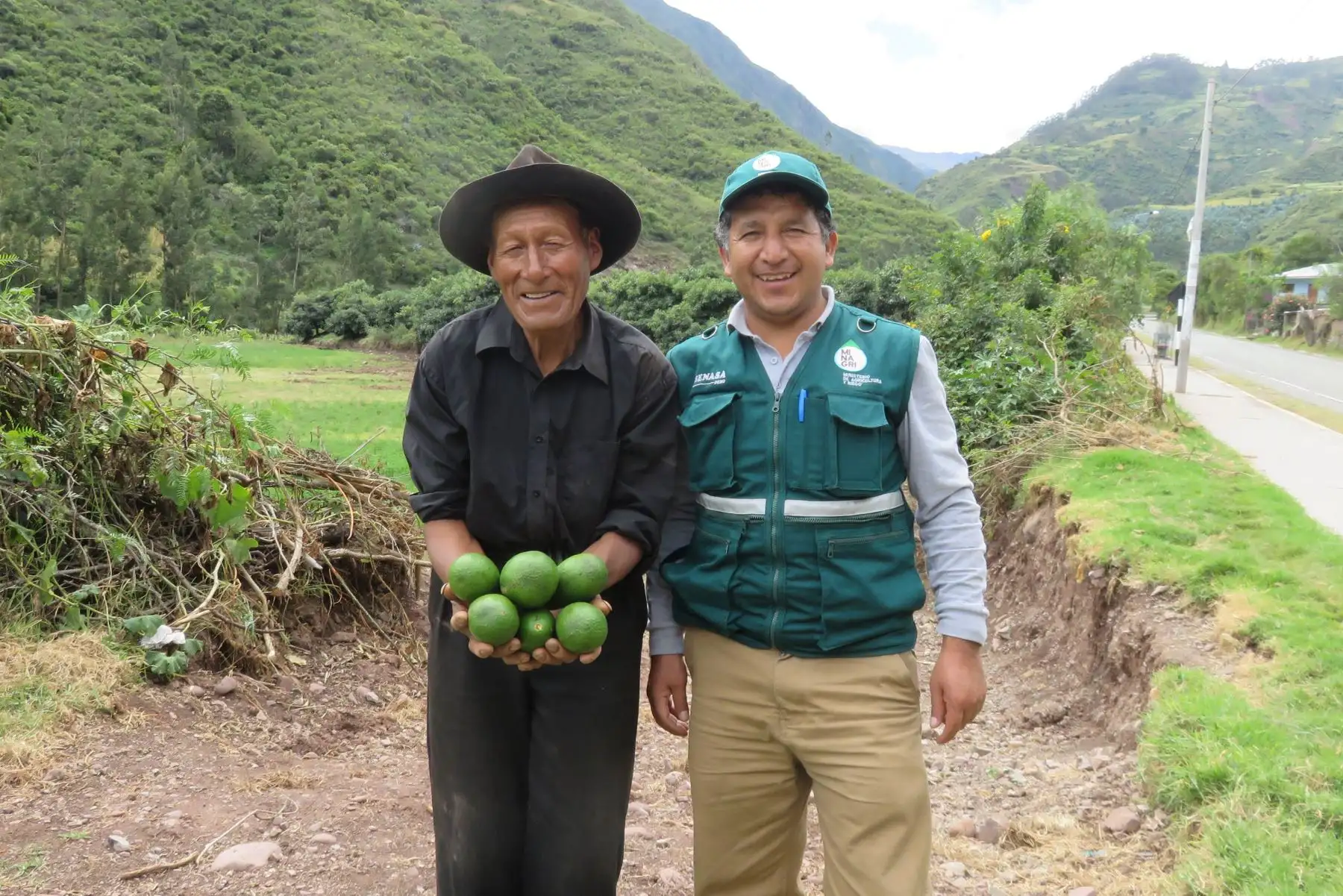 Exportación de palta, una oportunidad para el desarrollo. Foto: ANDINA