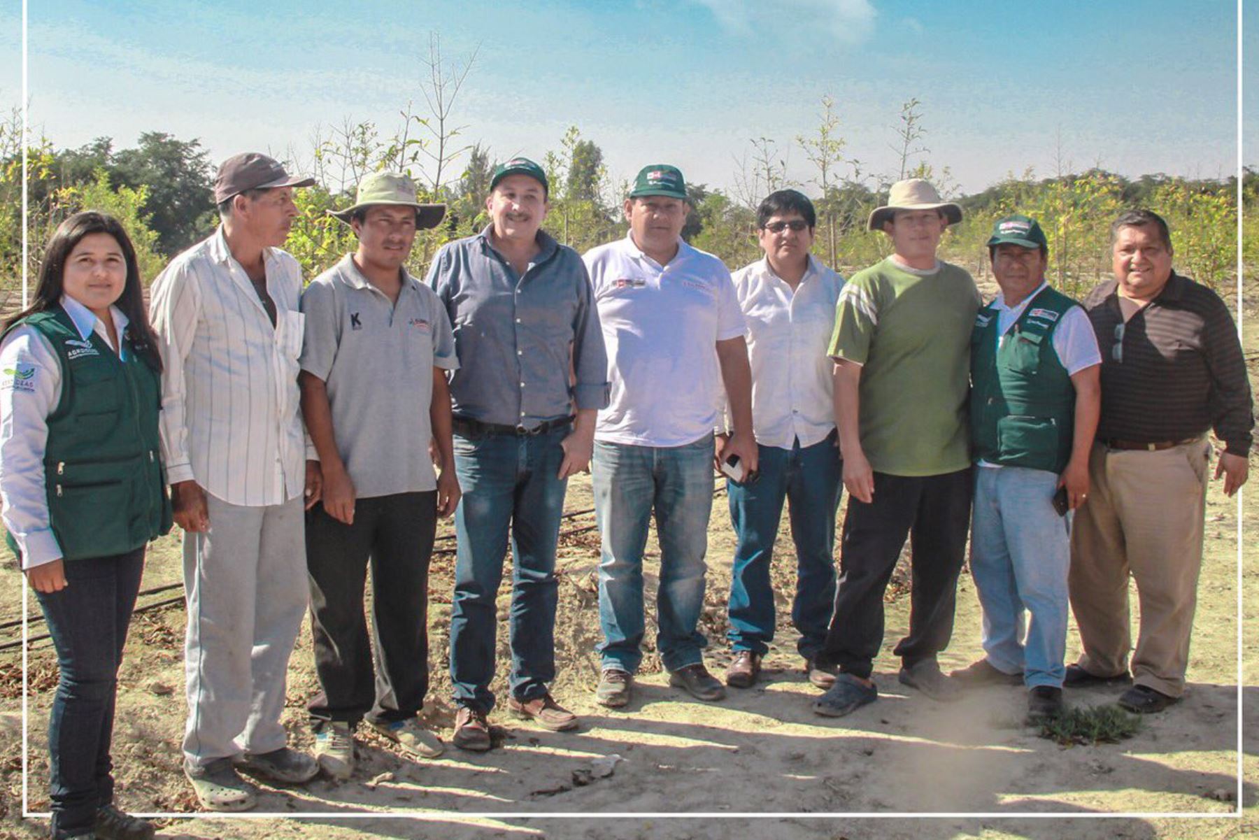 Seis Proyectos de Reconversión Productiva Agropecuaria se han implementado en la región Ica, en beneficio de 54 productores que cambiaron sus cultivos de algodón por granada, mandarina y palta has, informó el Programa de Compensaciones para la Competitividad (Agroideas) del Ministerio de Agricultura y Riego (Minagri).