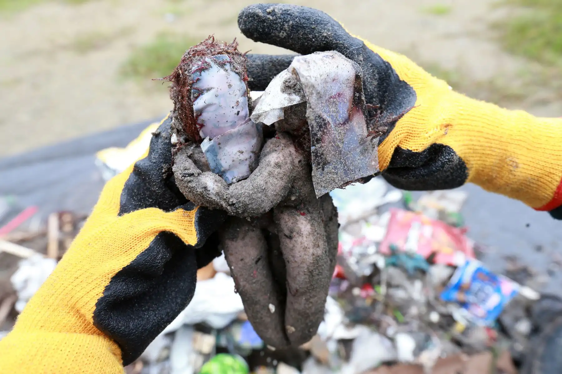 Campaña ECO IPD por el cuidado del medio ambiente, se realizo con la limpieza de la playa Yuyos en la Costa Verde.Foto: ANDINA/Norman Córdova