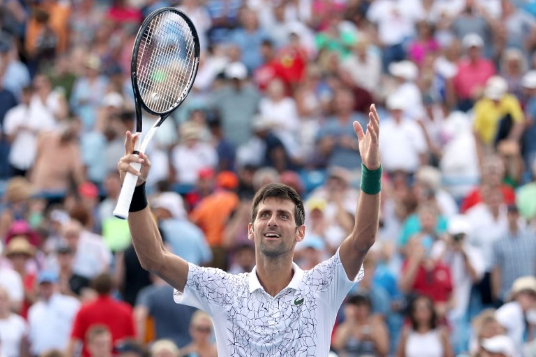 Djokovic vuelve a meterse en la pelea por reinar en el tenis mundial