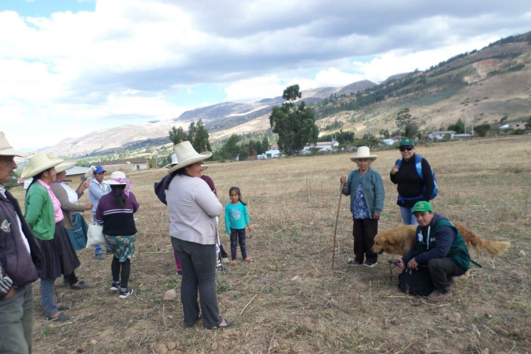 Productores de Cajamarca se capacitan en instalación de pastos mejorados. ANDINA/Difusión