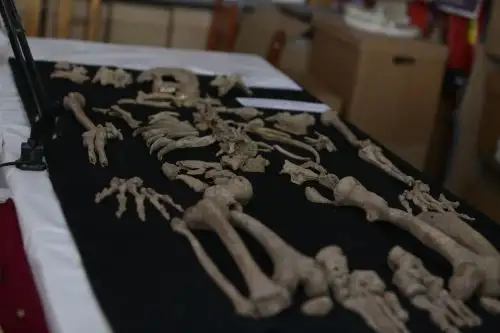 Robots revelan posibles sacrificios humanos en Chavín de Huántar. ANDINA/Difusión