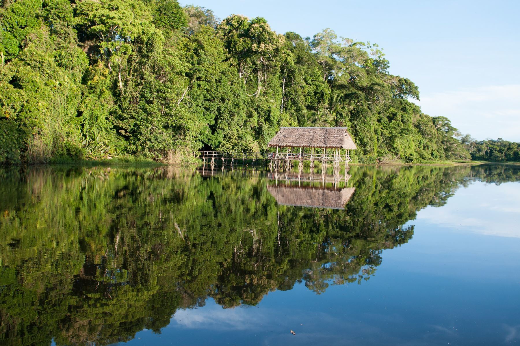 La Reserva Comunal Amarakaer está ubicada en la provincia del Manu, región Madre de Dios. Foto: ANDINA/Difusión