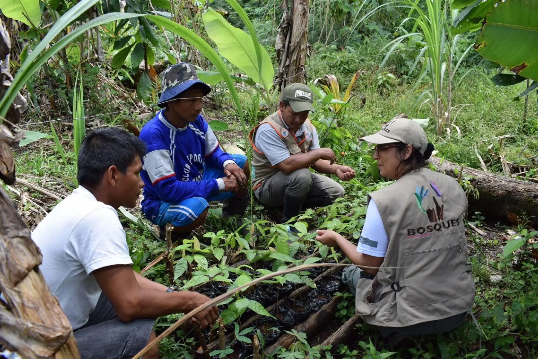 El turismo comunitario y la artesanía son las actividades que impulsan la economía verde que promueve el Gobierno Regional de Loreto y el Programa Nacional de Conservación de Bosques para la Mitigación del Cambio Climático del Ministerio del Ambiente en las comunidades indígenas de Loreto. Foto: ANDINA/Minam