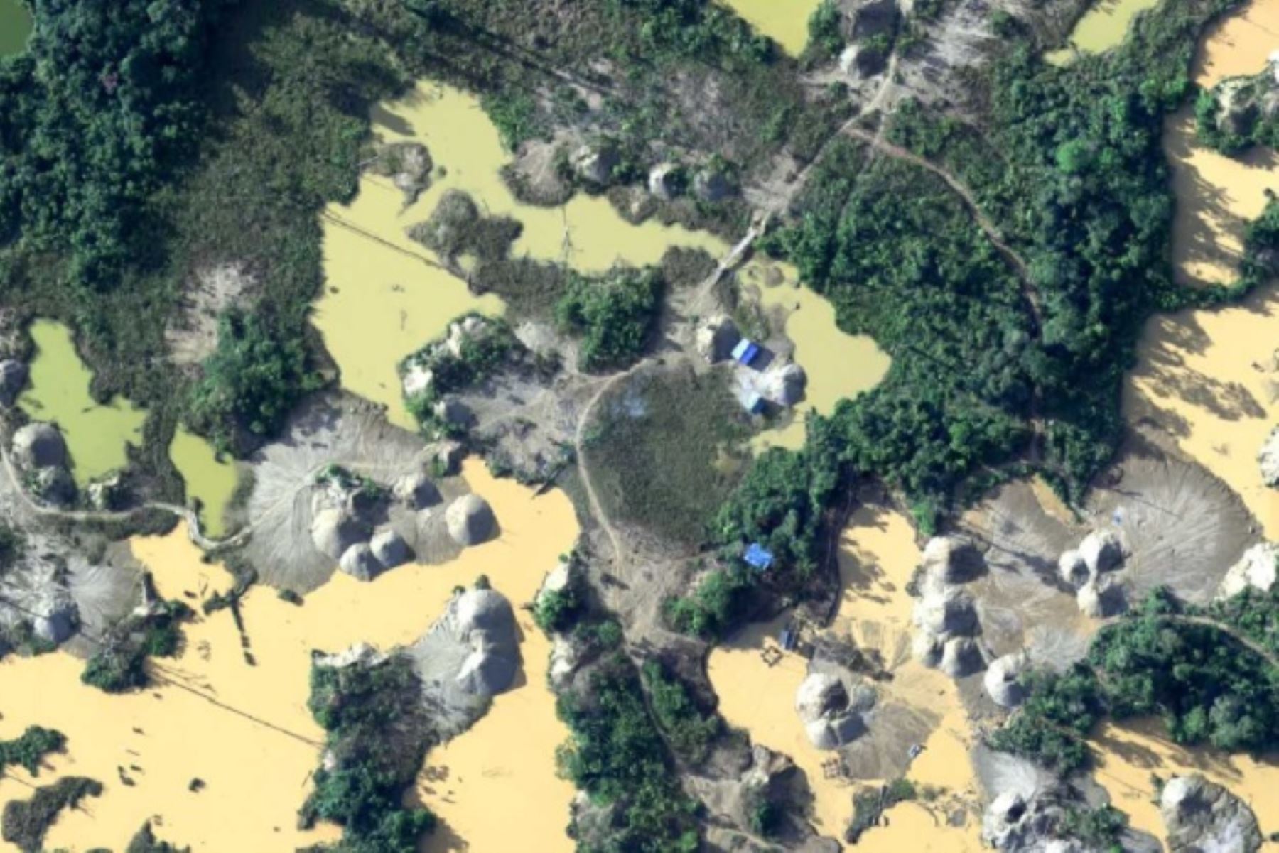 Cerca del 20% de la Amazonia desapareció en 50 años revela informe de WWF. ANDINA/Difusión