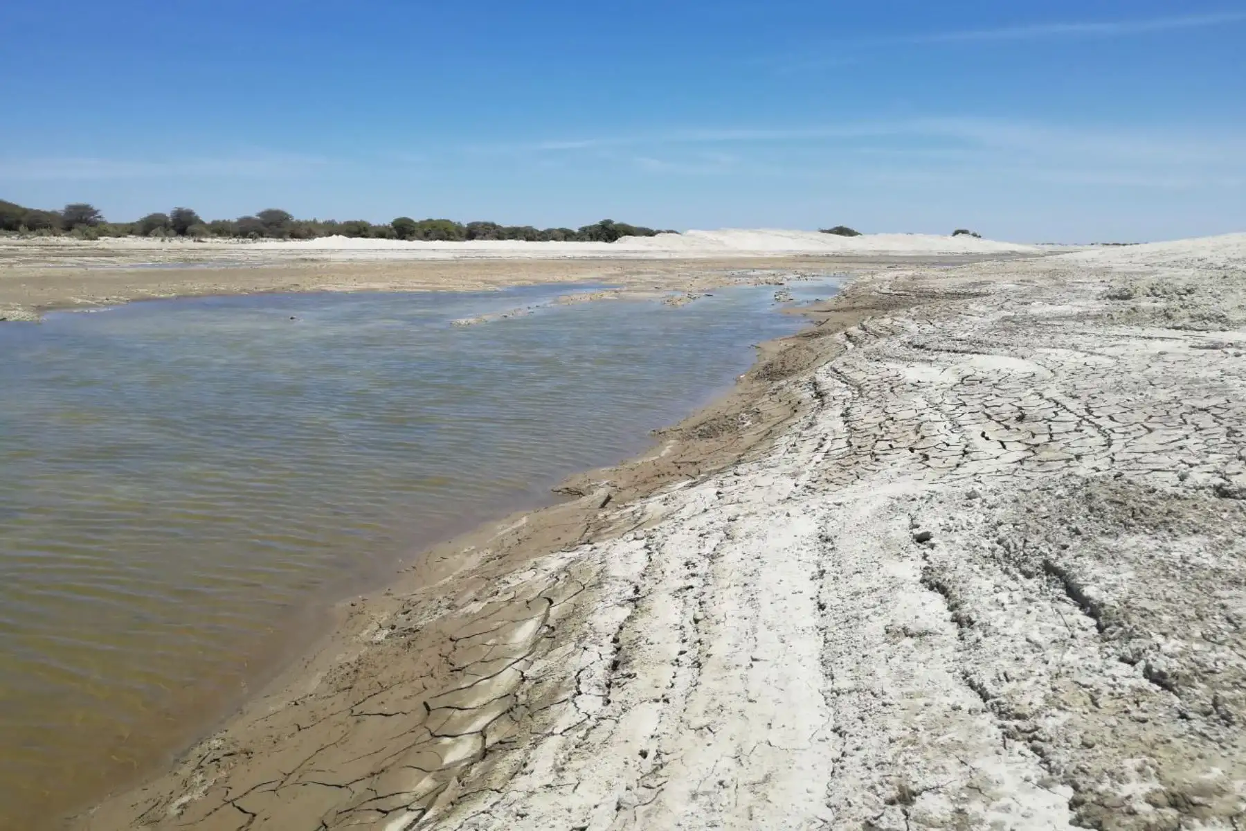 Autoridad para la Reconstrucción con Cambios financia obras en 57 puntos críticos para evitar el desborde de ríos durante la temporada de lluvias.Foto:  ANDINA/Difusión