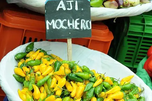 La Libertad gestiona denominación de origen para el ají mochero. Foto: noticiasresponsables.com