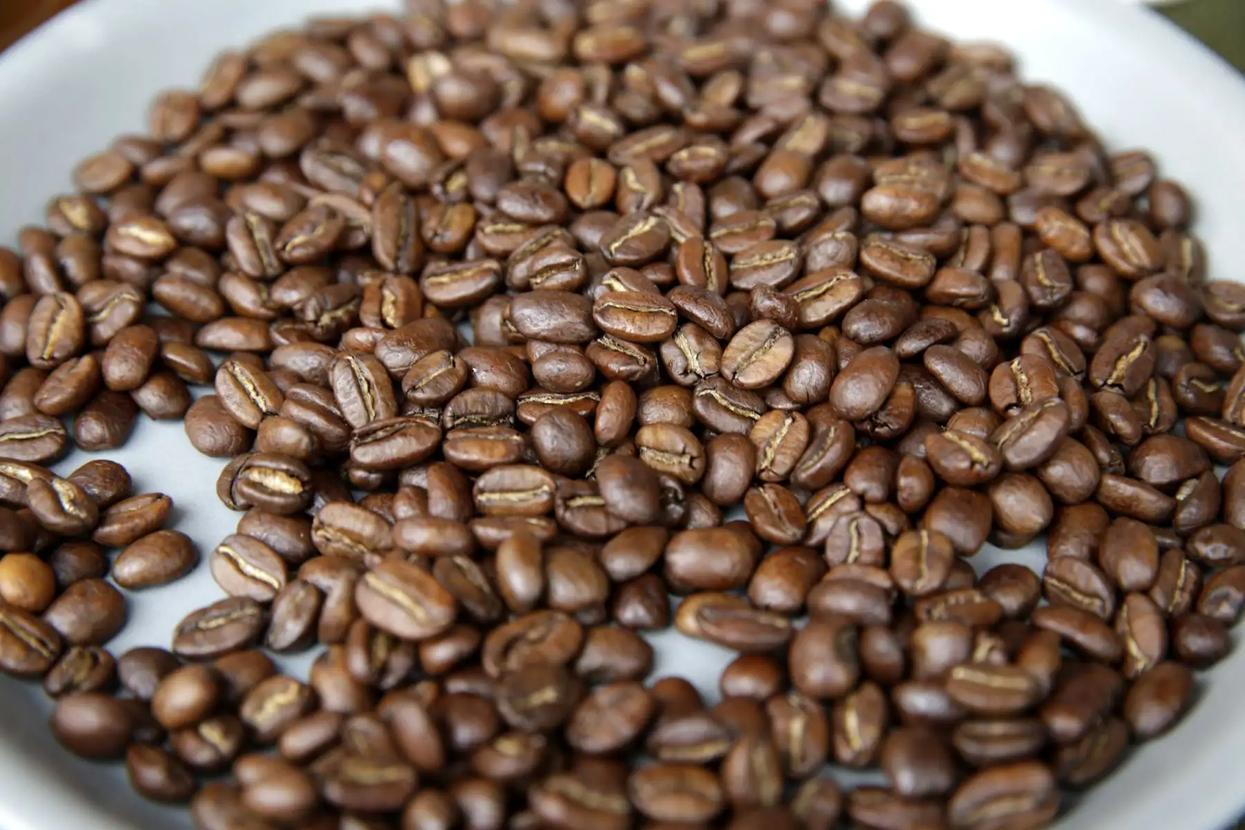 Café peruano ANDINA/Melina Mejía