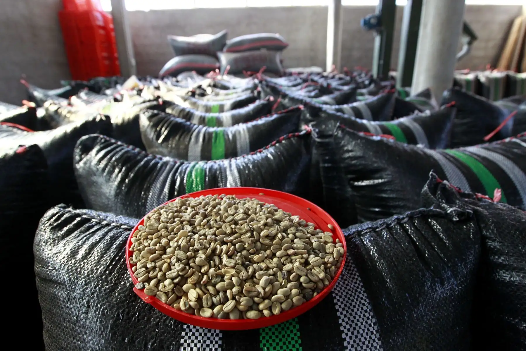 Visita a la finca cafetalera del Sr. Dagoberto Marín que forma parte del Parque Nacional del Café en la Merced - Chanchamayo. Foto: ANDINA/Eddy Ramos