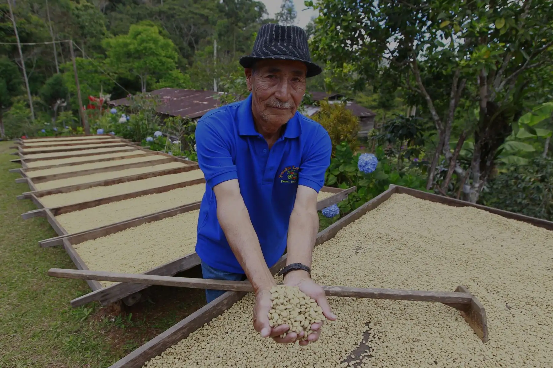 En el día del Café Peruano, visita a las diversas fincas cafetaleras que forman parte del Parque Nacional del Café en la Merced - Chanchamayo. FOTO - ANDINA /Eddy Ramos.