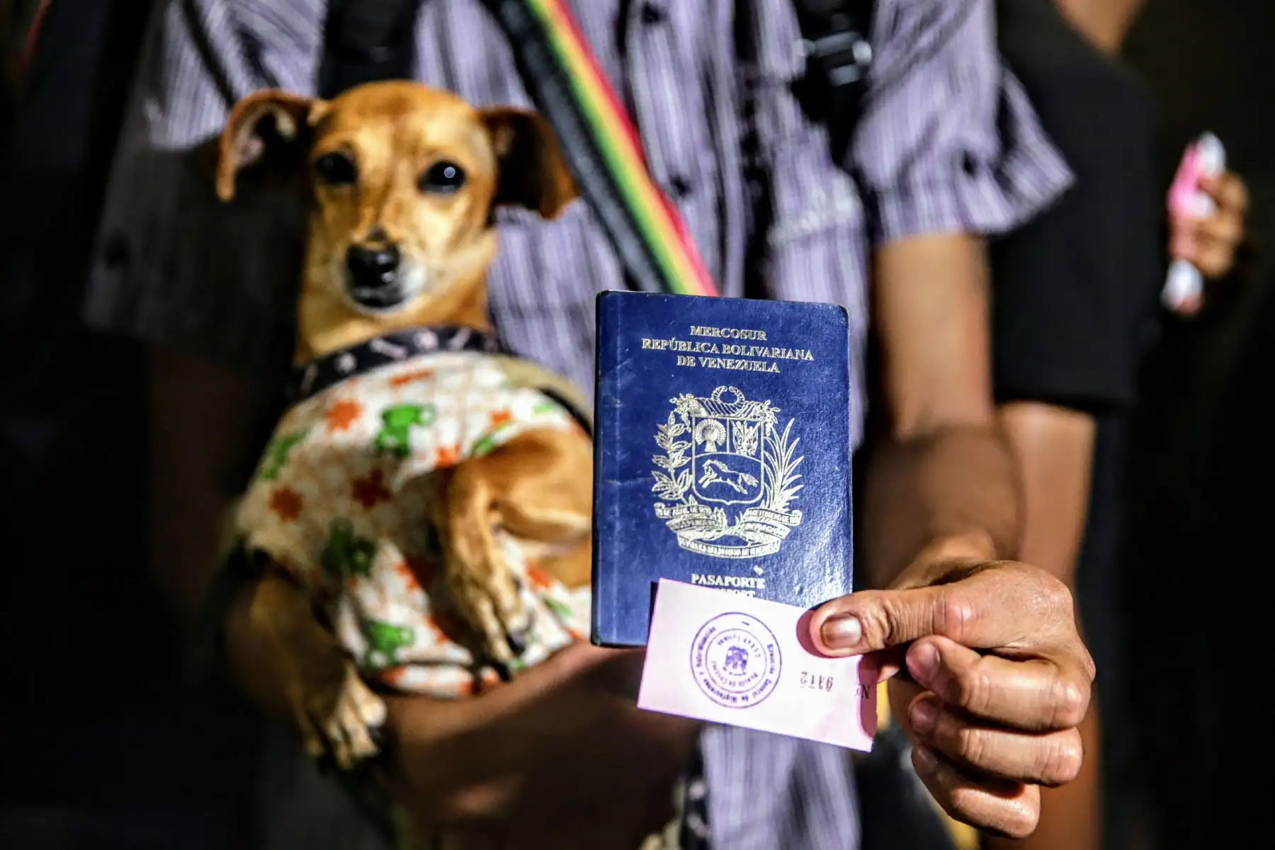 Llegada de los últimos buses que trasladan a venezolanos, minutos antes de el requerimiento de pasaporte obligatorio para su ingreso al Perú. Foto: ANDINA/Luis Iparraguirre