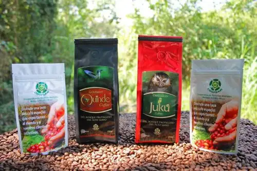 Actualmente hay 336 familias asentadas en el Bosque de Protección Alto Mayo, en la región San Martín, dedicadas al cultivo de uno de los mejores cafés del mundo, cuya exportación se incrementó, de 1 a más de 10 contenedores durante los últimos 3 años, informó el Servicio Nacional de Áreas Naturales Protegidas por el Estado (Sernanp).