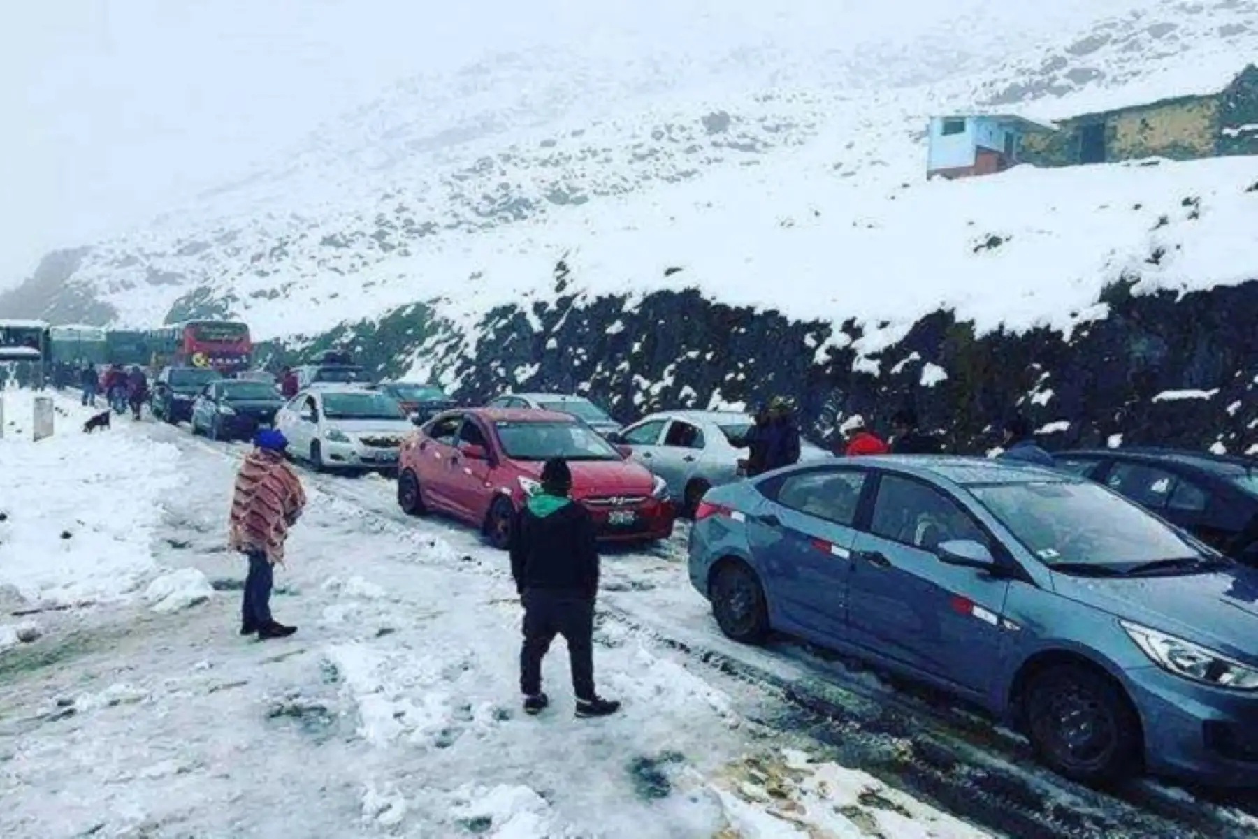 Se espera acumulados de nieve próximos a los 5 centímetros por día, pronosticó el Senamhi. Foto: ANDINA/Difusión