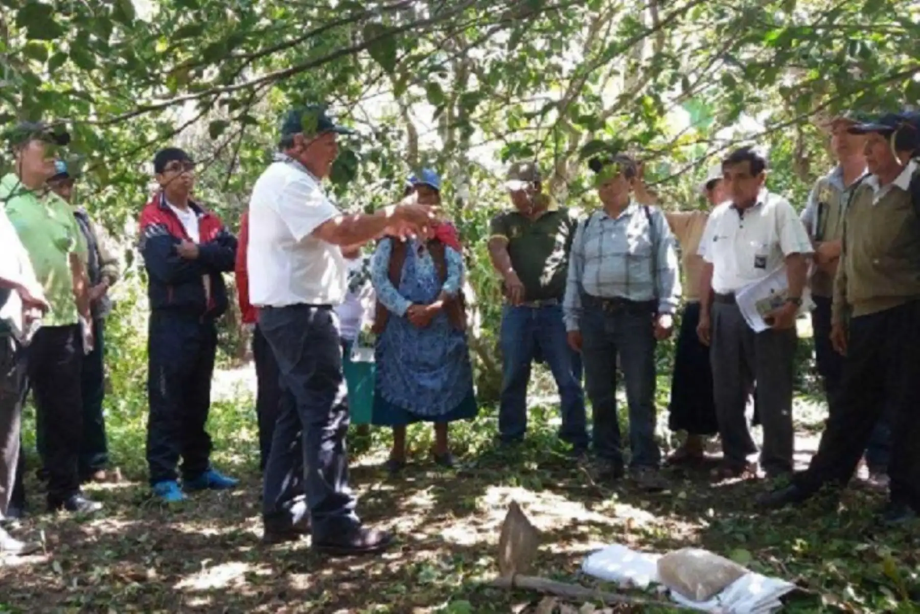 Más de 80 productores de frutas y café del distrito de San Pedro de Putina Punco, en la provincia puneña de Sandia, mejorarán la calidad y productividad de sus cultivos gracias al guano de las islas que el Ministerio de Agricultura y Riego (Minagri), a través de Agro Rural, distribuye y comercializa en todas las regiones del país.