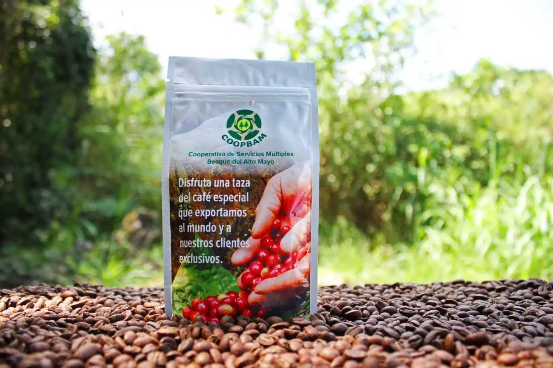 El café cultivado en el Bosque de Protección Alto Mayo (BPAM) ocupó el primer, segundo y quinto lugar en la etapa regional de la competencia “II Taza de Excelencia Perú 2018”, certamen cuya primera fase se realizó en el departamento de San Martín y que reúne a los mejores caficultores del Perú, teniendo como principal premio su ingreso al mercado internacional de cafés de alta calidad.