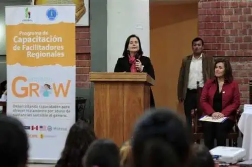 Un total de 360 profesionales de equipos multidisciplinarios de salud mental serán capacitados en la tercera fase del Proyecto “Guiando la Recuperación de las Mujeres” (GROW por sus siglas en inglés), que impulsa el Ministerio de Salud (Minsa) con el objetivo de fortalecer sus capacidades para brindar tratamiento a mujeres y adolescentes con problemas de abuso y dependencia de sustancias, drogas y alcoholismo.