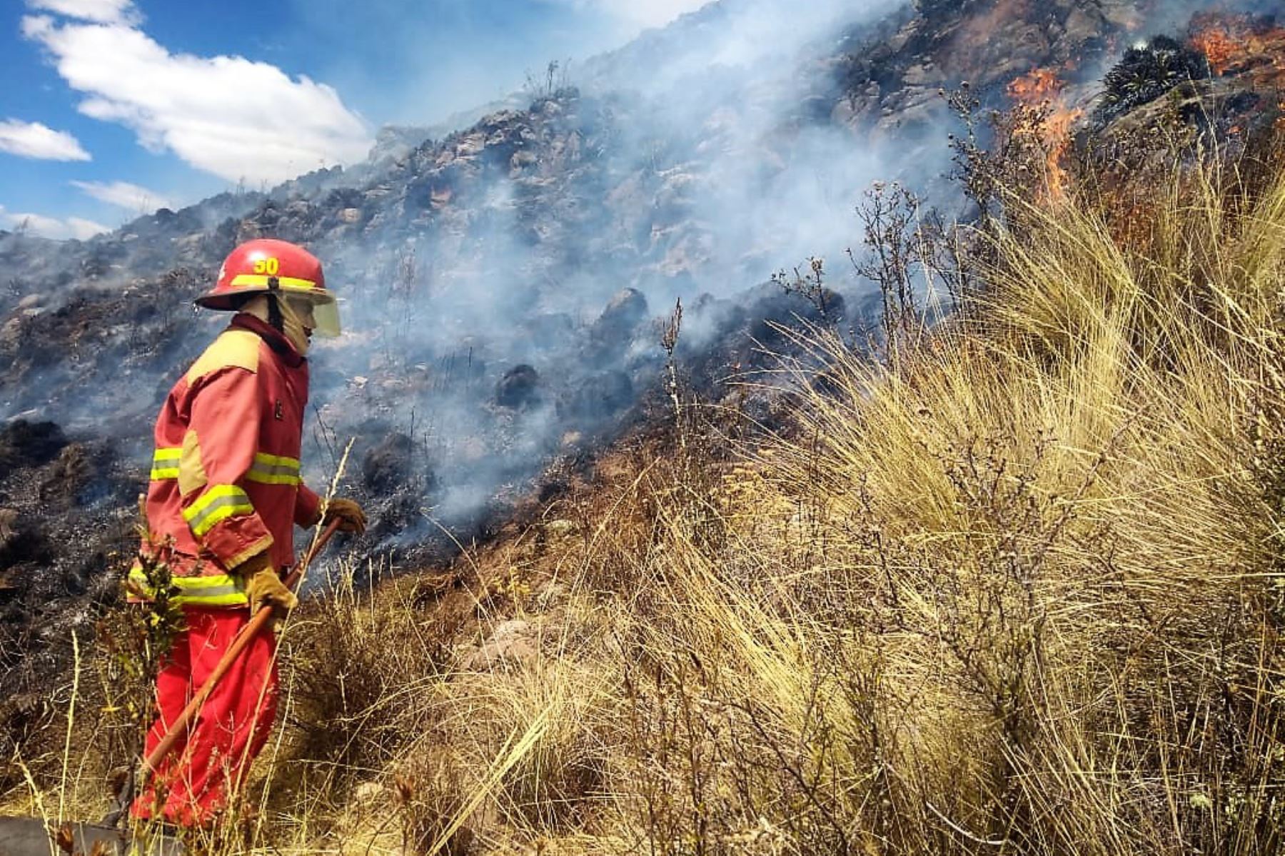Bomberos y pobladores de Cusco combaten incendios forestales.Foto:  ANDINA.
