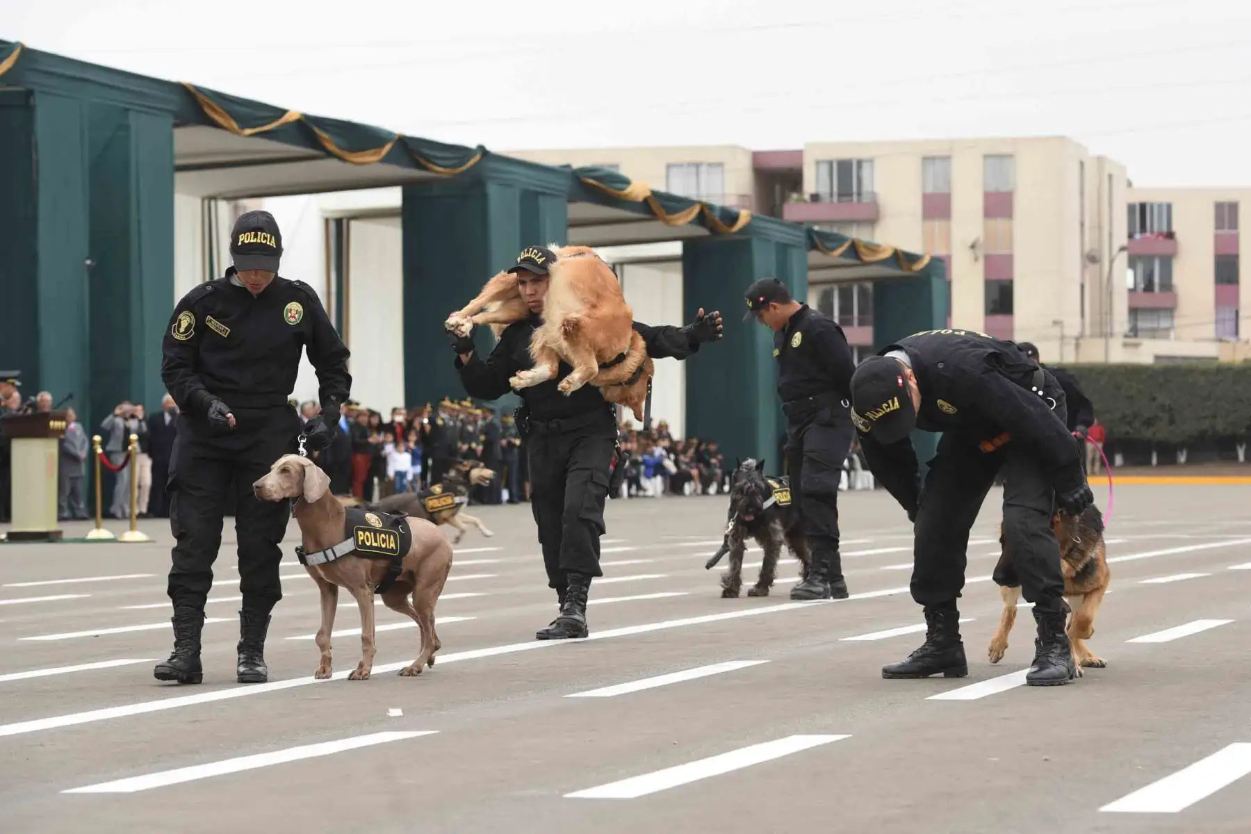 Ceremonia de homenaje de la Policía Nacional a Santa Rosa de Lima y a la Benemérita Guardia Civil, realizada  en la Escuela de Oficiales de la PNP, en Chorrillos .Foto: ANDINA/Mininter