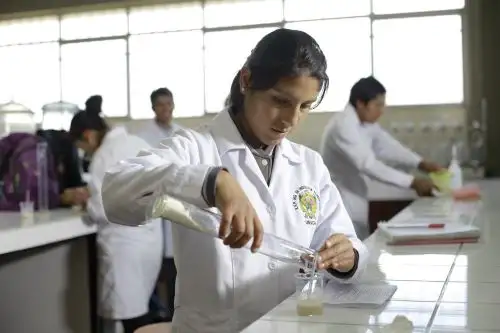 Convocatoria está dirigida a estudiantes de alto rendimiento de 28 universidades públicas. Foto: Pronabec