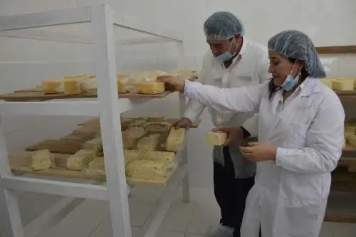 Comuneros dedicados a las diferentes actividades ganaderas de la localidad de Allpachaca, en el distrito de Chiara, provincia de Huamanga, producen y comercializar hasta 4 toneladas de queso mensuales en los principales mercados de Huamanga y Lima, gracias a los recursos asignados por el Ministerio de Agricultura y Riego, a través de Agro Rural, para mejorar su calidad de vida y la de sus familias.